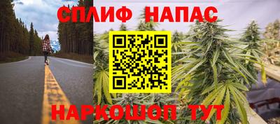 ГАЛЛЮЦИНОГЕННЫЕ ГРИБЫ Кулебаки
